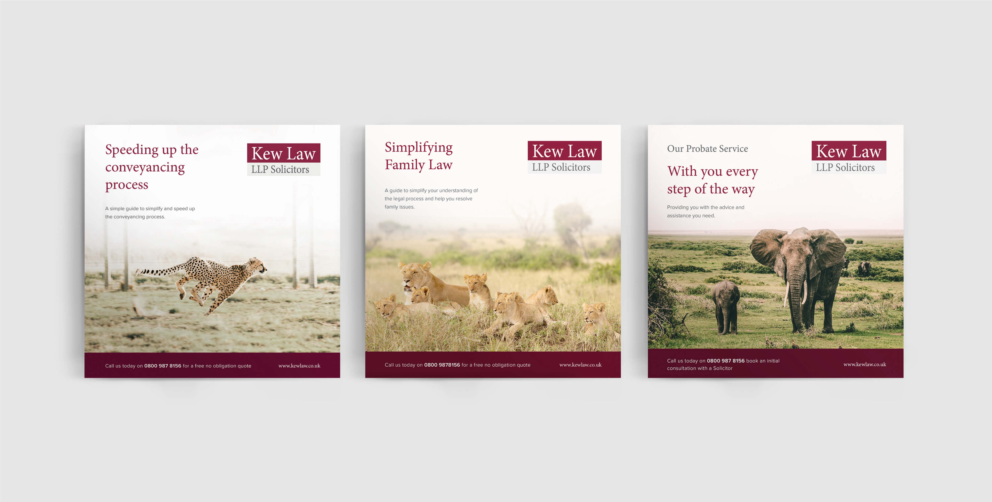 Kew Law LLP Solicitors Case study image