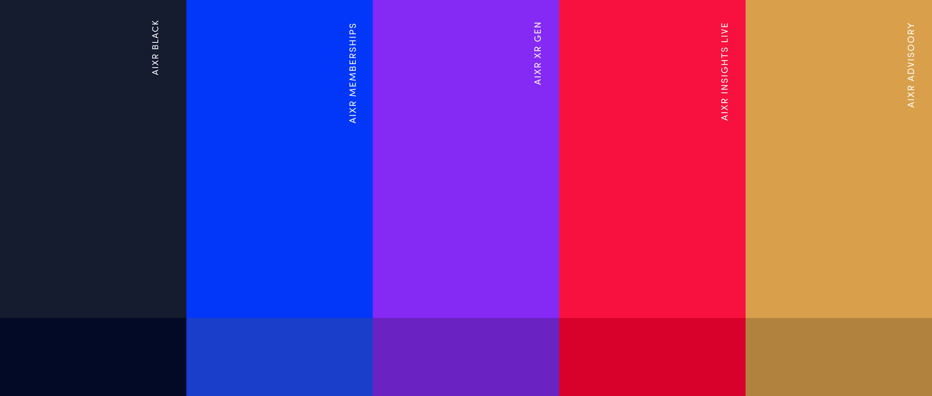 The Academy of International Extended Reality Case study image