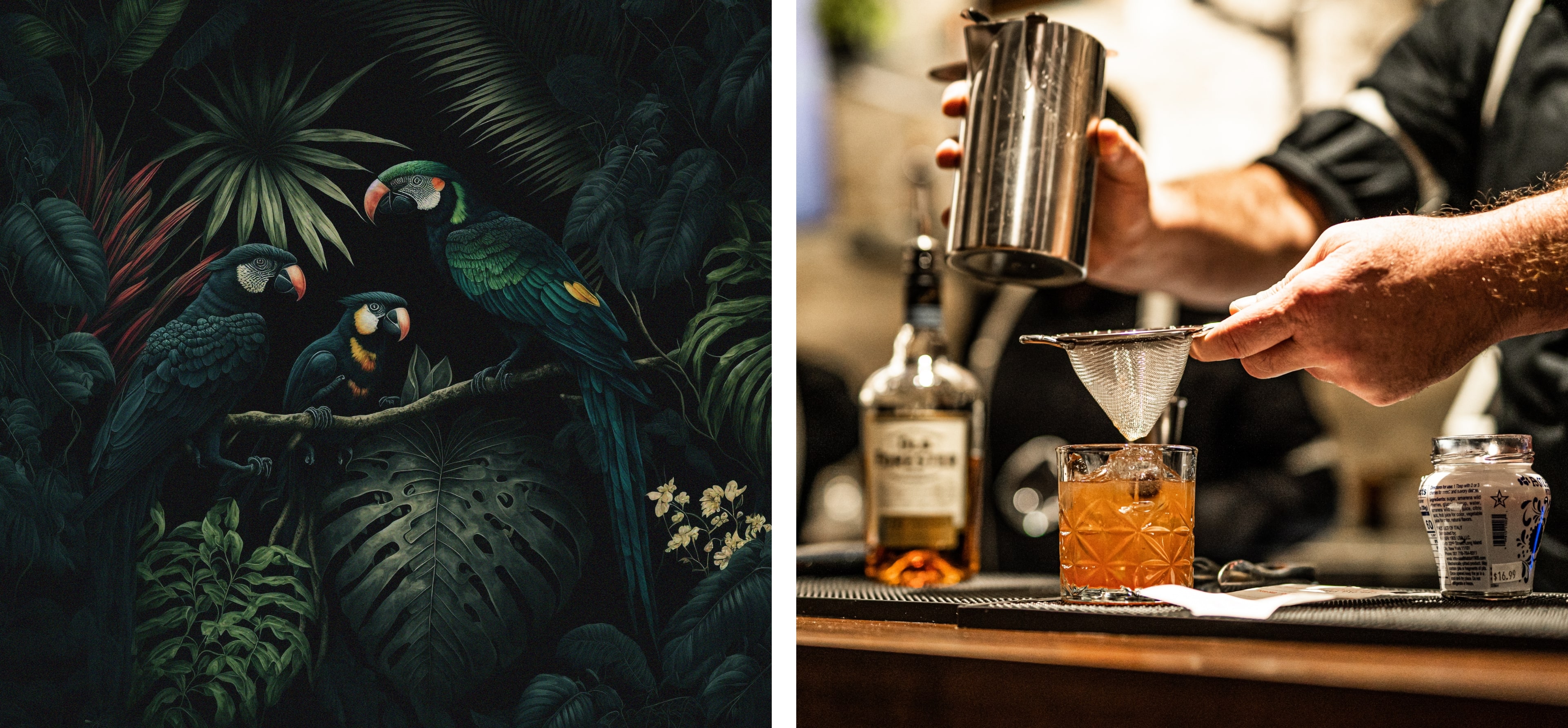 Alexandra's Lounge Case study image