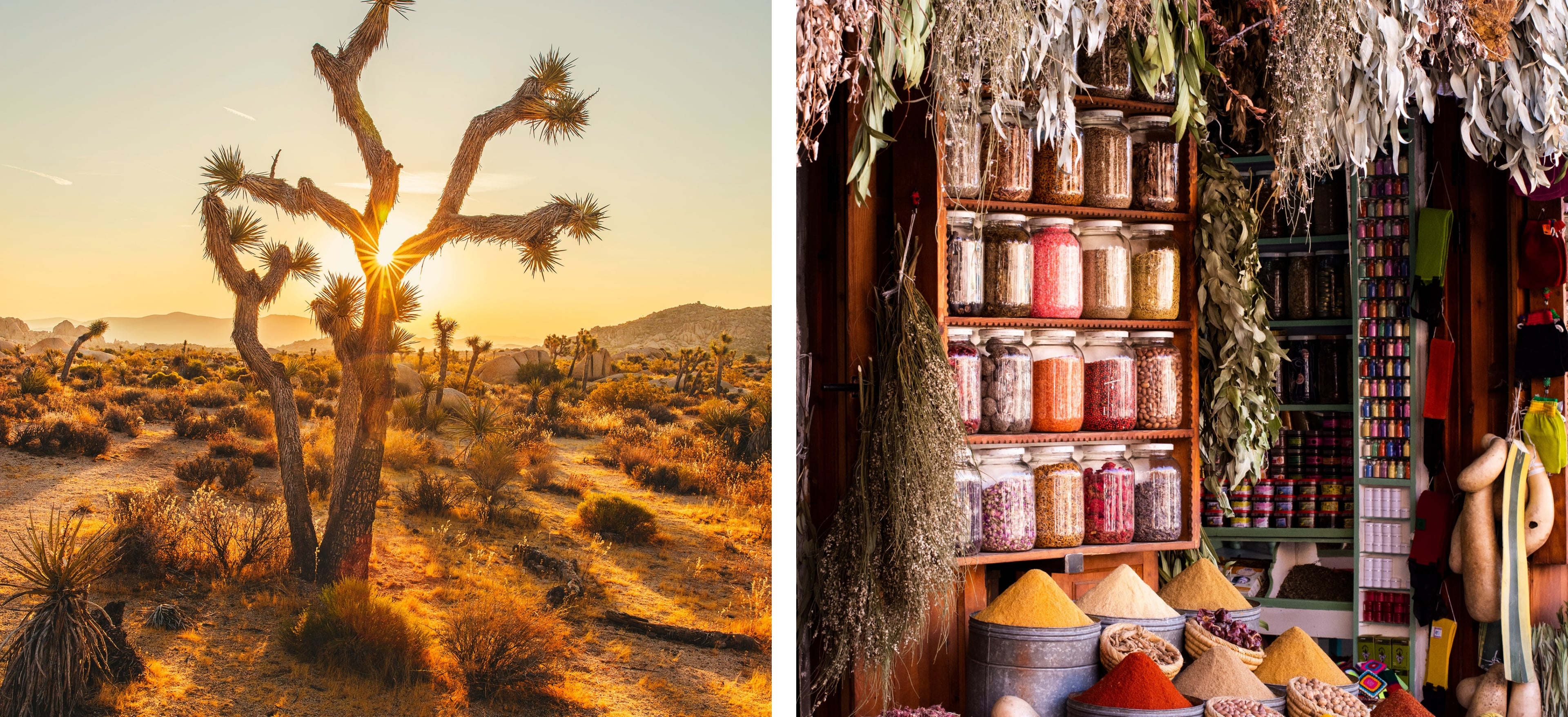 HiBag Case study image